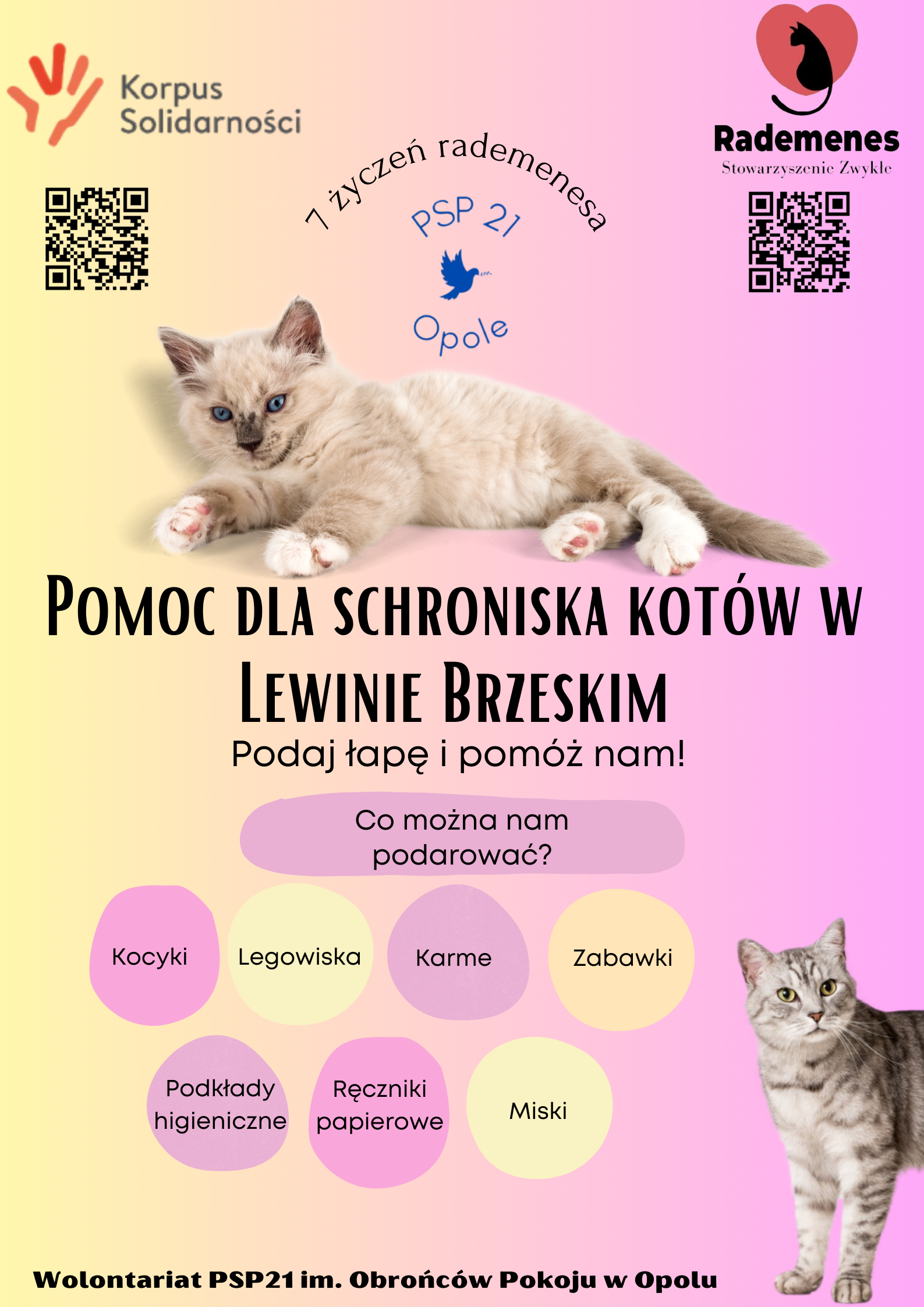 Teal Cartoon Illustrated Pet Shelter Poster 1