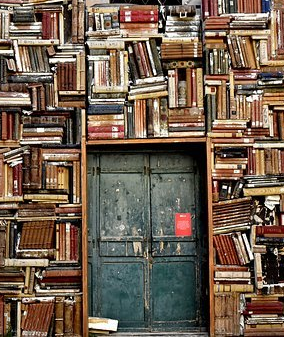 biblioteka 1