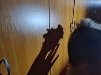 7f71b817 82b0 4398 bc87 ae669a2dde6e