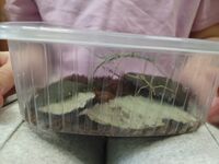 90e31f06 0794 47fa 93b4 a75bab665954