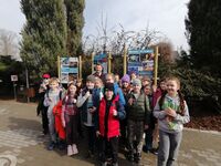 zoo 1