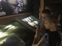 IMG 7288
