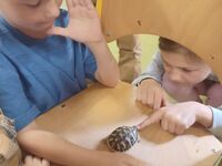 678F8A3E B175 4312 B286 14678ECB7A07