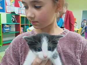 2FFF77A1 73ED 4B82 9BF5 51B4880EB36A